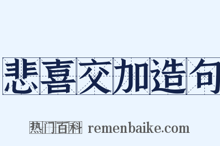 悲喜交加造句是什么意思的图片